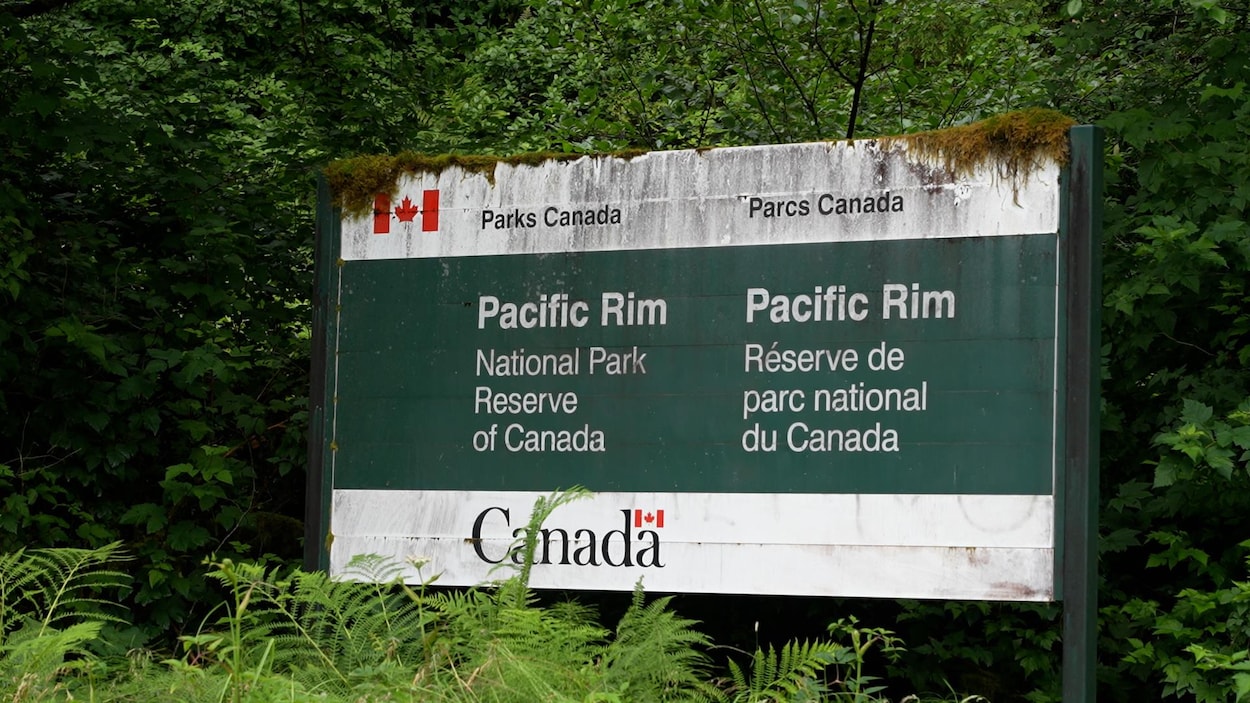 Des randonneurs évacués du sentier de la Côte-Ouest, rendu impraticable par la pluie