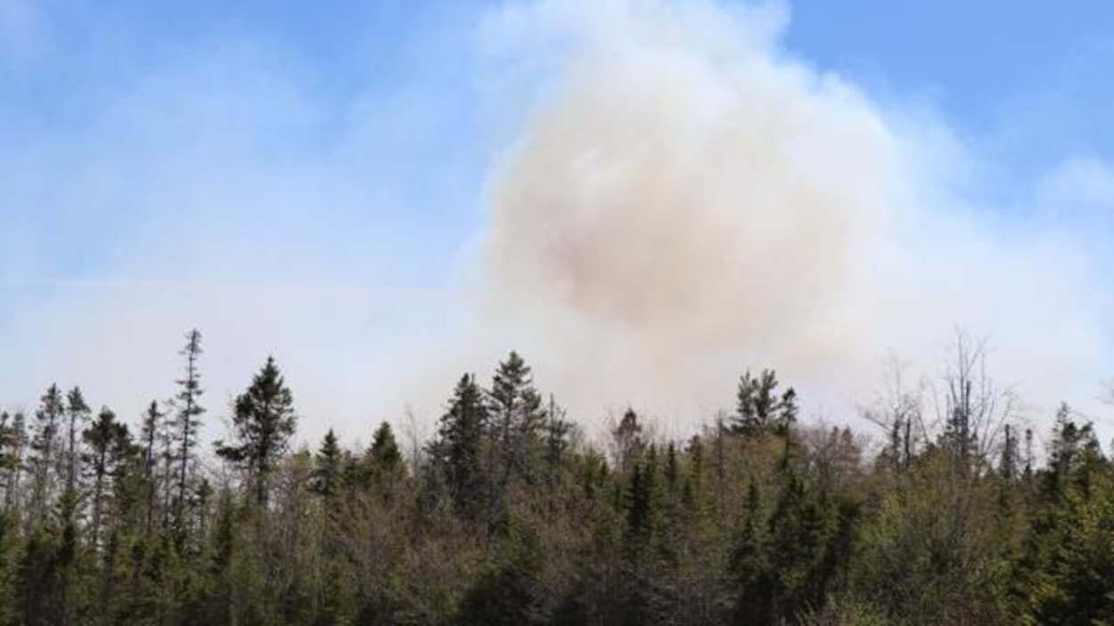 Une fumée au dessus de la forêt.