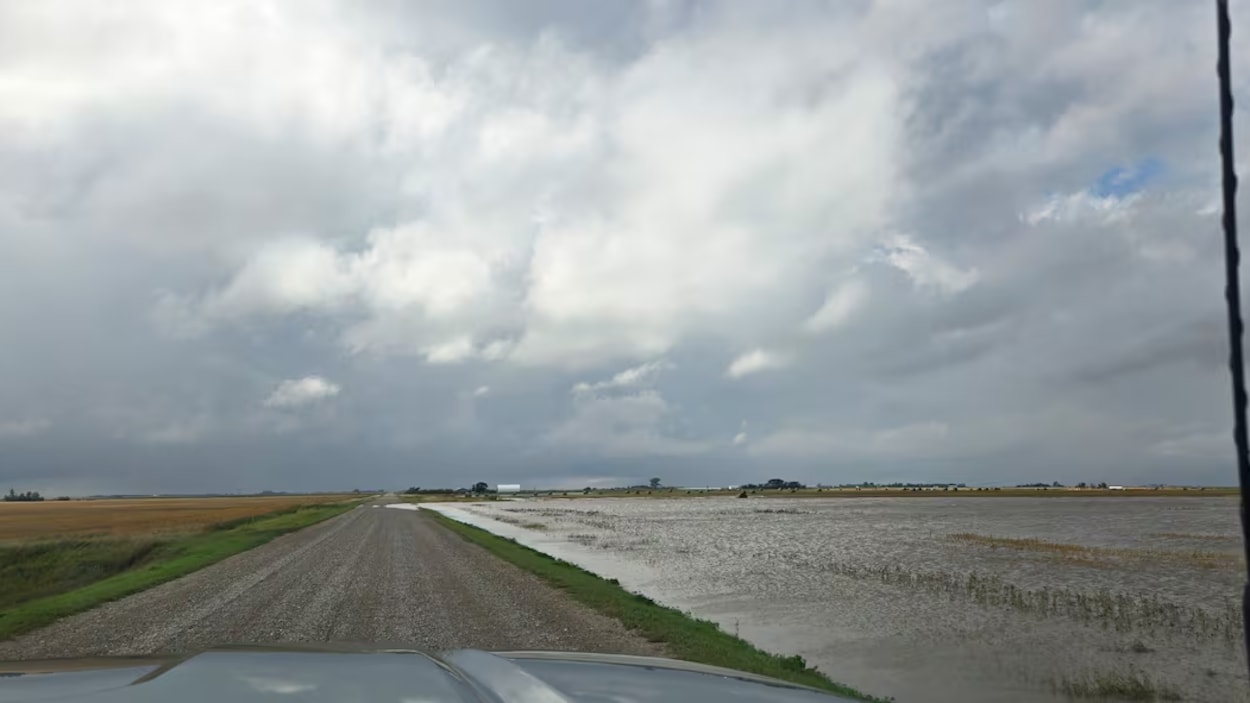 La pluie et la grêle compliquent une fin de saison déjà difficile pour les agriculteurs