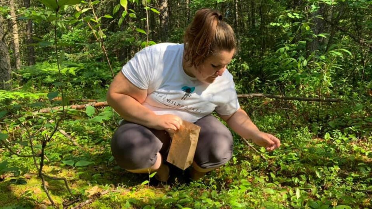 Une femme accroupie cueille des champignons.
