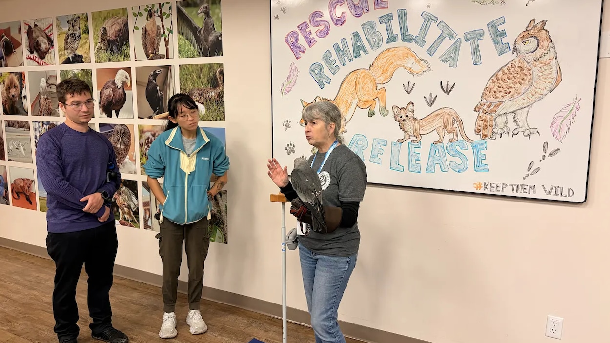Le centre Wildlife Haven ouvre ses portes au public le temps d’une fin de semaine