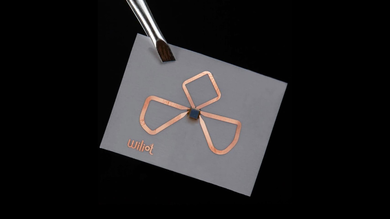 Une photo montrant une puce Wiliot tenue par une pince à sourcils. La puce est un minuscule carré collé à un bout de papier gris et entouré de trois antennes en cuivre en forme de pétales de fleur.