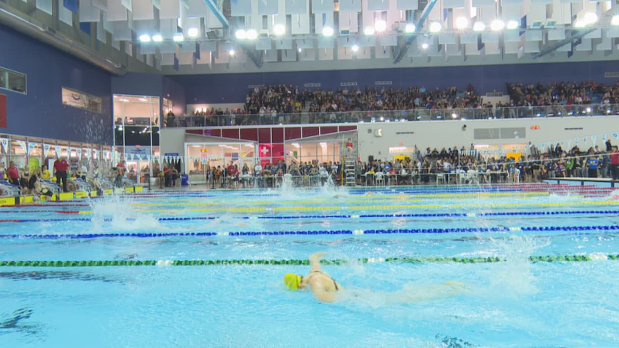 Des nageurs dans une piscine. Des nageurs dans une piscine.