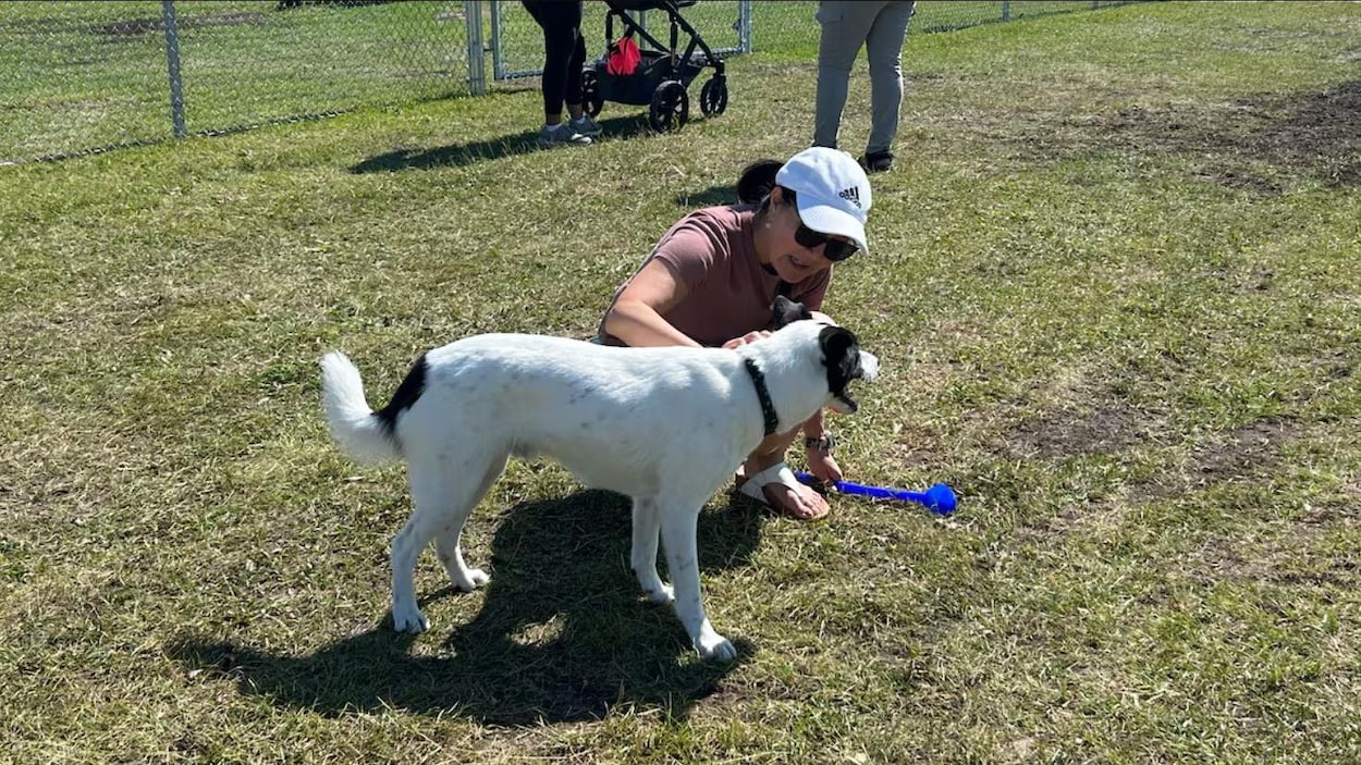 Un nouveau parc pour chiens avec un espace réservé aux petits canidés ouvre à Winnipeg