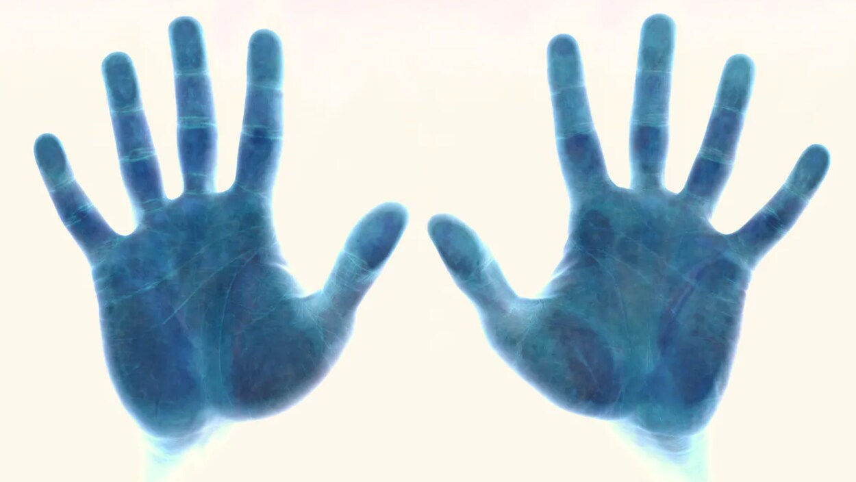 Des mains appliquées sur un lecteur biométrique.