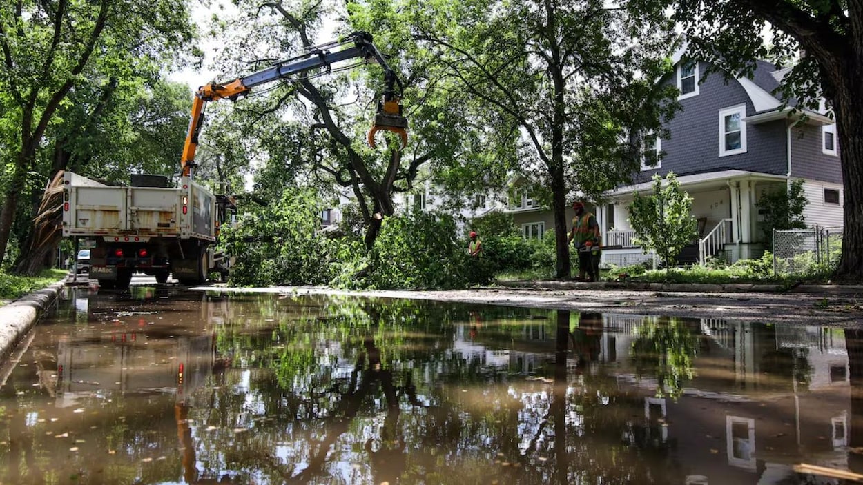 Pannes et réseau vétuste : 9 millions de litres d’eaux usées déversés à Winnipeg
