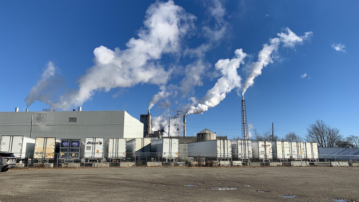 Une usine du Maine reprend son importation de bois canadien