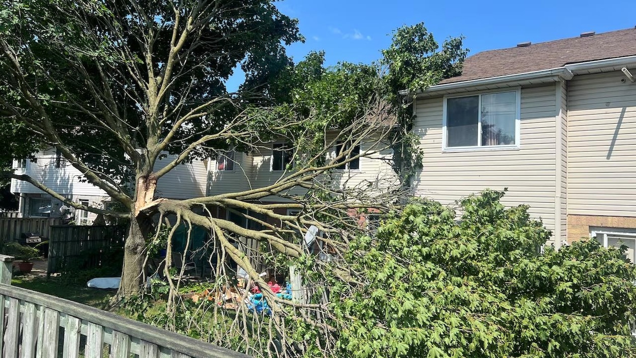 Après les violents orages, une tornade confirmée à Woodstock