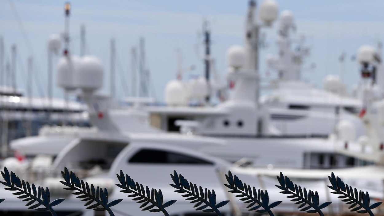 Des petites palmes sont au premier plan avec des yacht derrière.