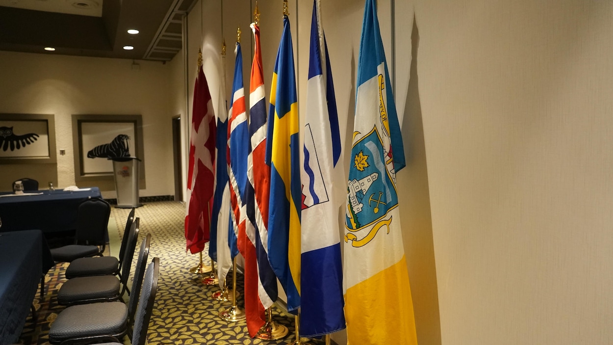 Sécurité de l'Arctique : rencontre des pays nordiques