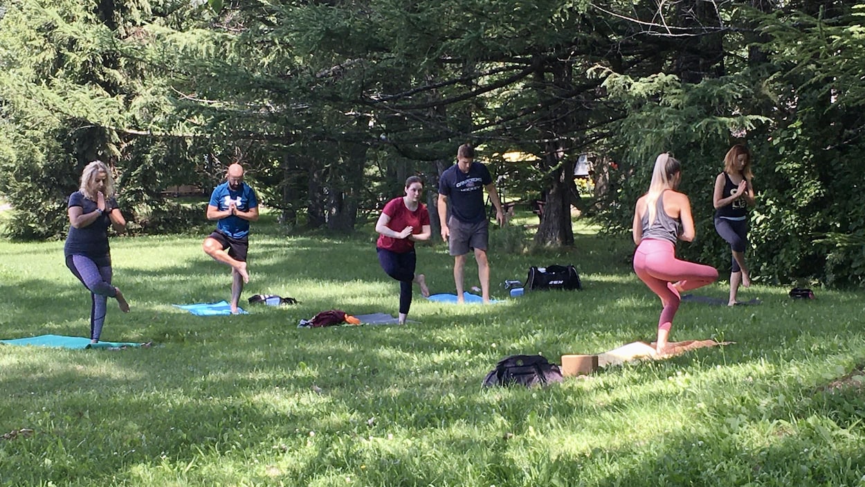 Six personnes sont en train de faire du yoga dans un parc.
