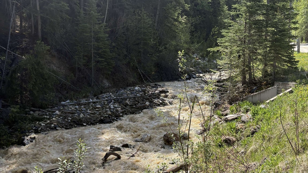 Plusieurs avertissements d’inondation rétrogradés dans les Kootenays