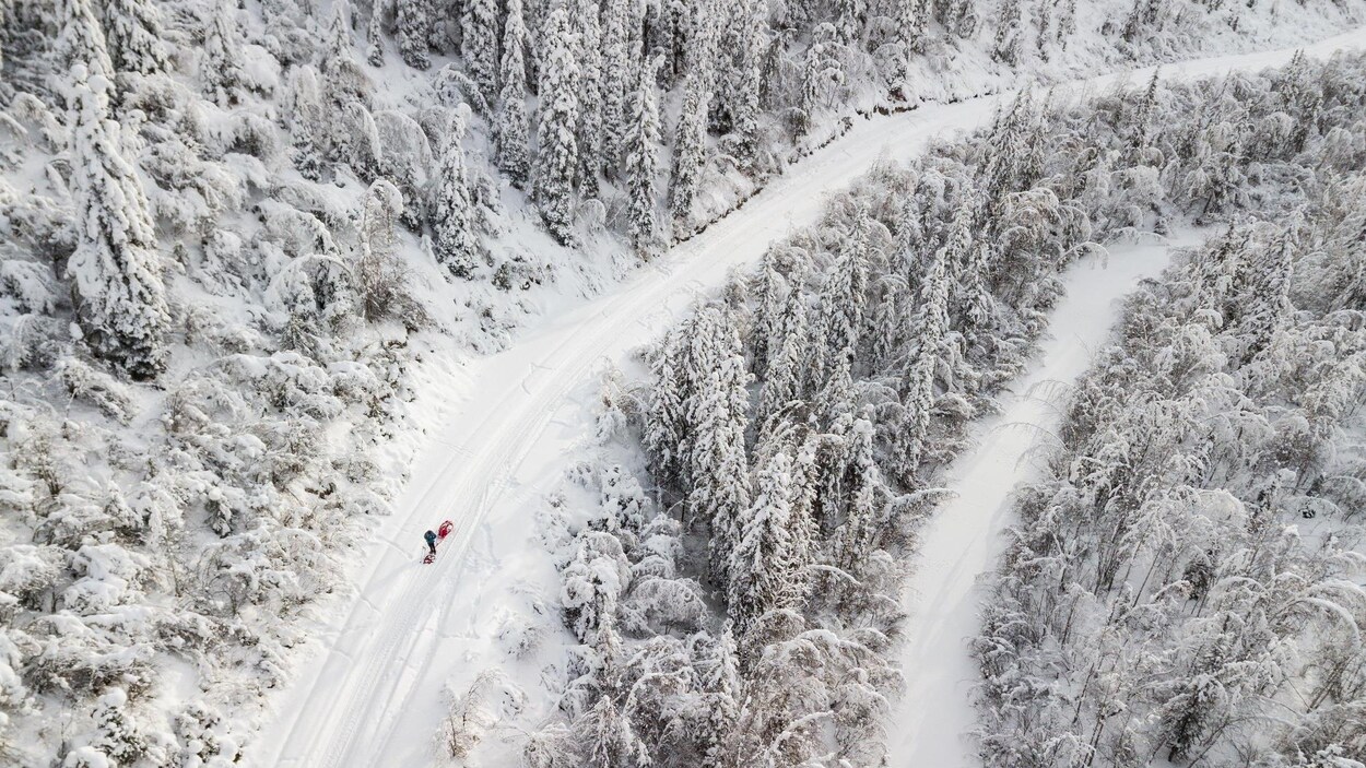 Un athlète vu du haut des airs.
