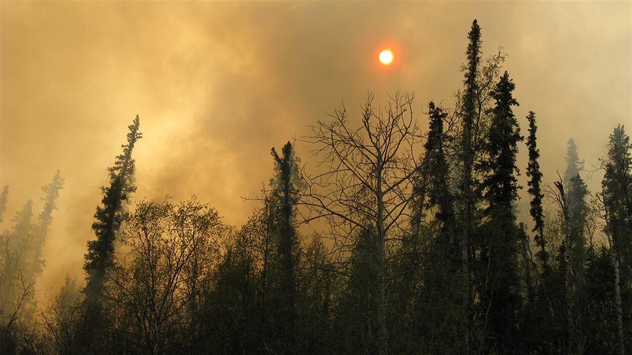 Fumée épaisse avec le soleil en arrière-plan.
