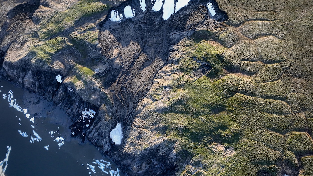 Une île du nord du Yukon offre un aperçu de l’impact du changement climatique