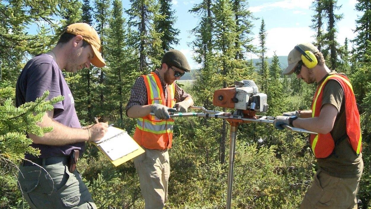 Deux chercheurs enfoncent une foreuse dans la forêt pendant que Fabrice Calmels prend des notes.