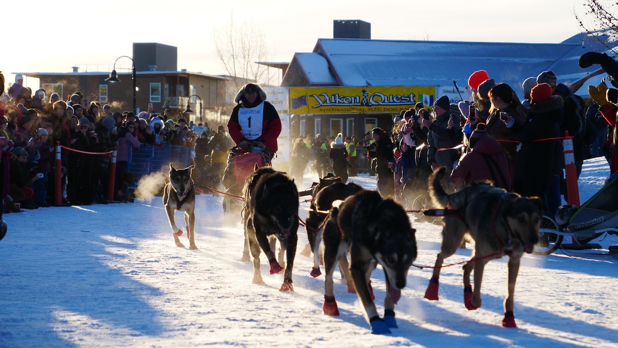 La course de chiens de traîneau Yukon Quest est annulée au Yukon