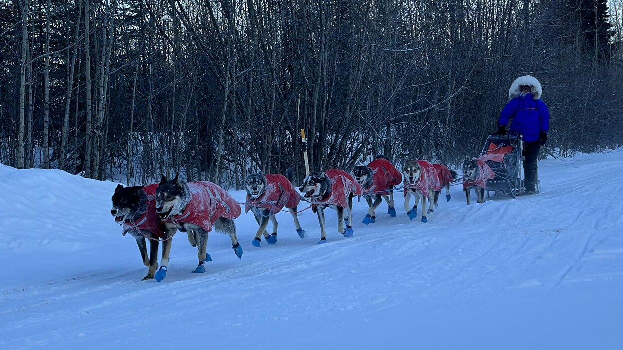 La course de chiens de traîneau Yukon Quest fera son retour en 2027