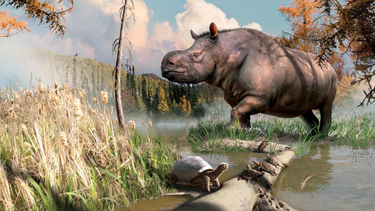 Illustration artistique d'un rhinocéros ancien et de tortues dans leur milieu naturel.