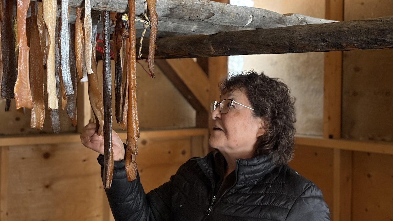 Conserver le poisson, un art traditionnel transmis à Haines Junction, au Yukon