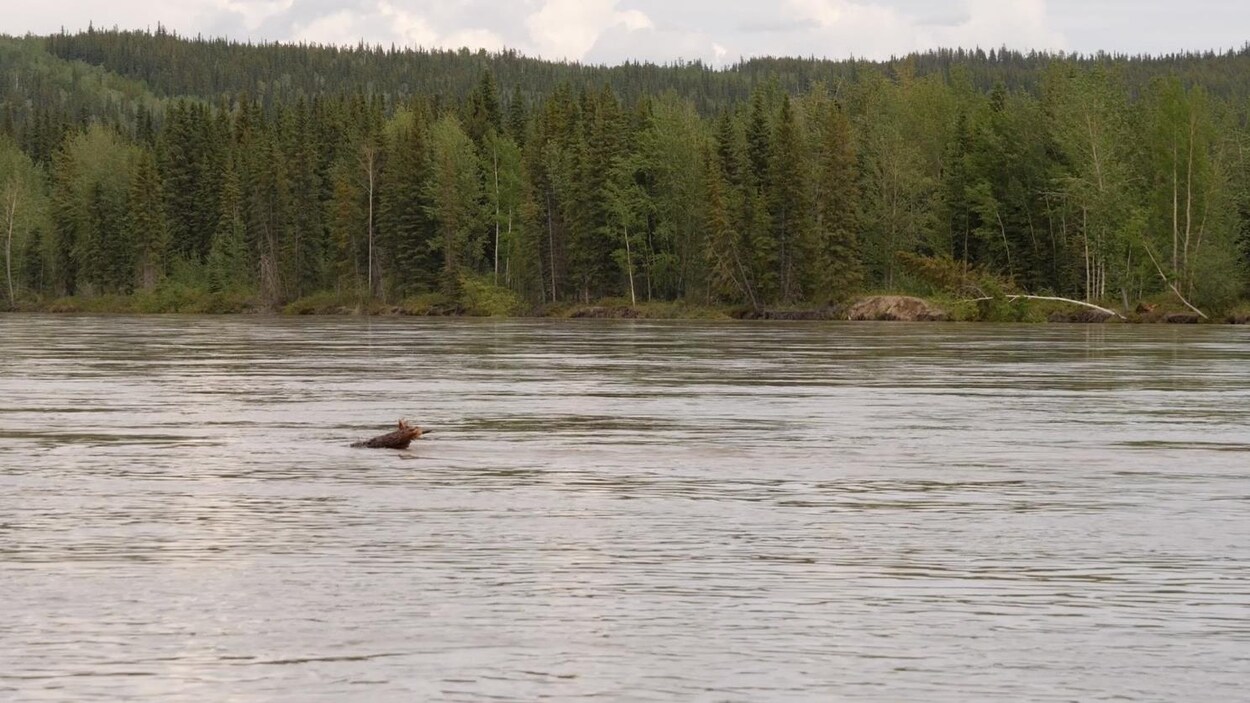 Quatre régions du Yukon surveillées de près pour risque d’inondation