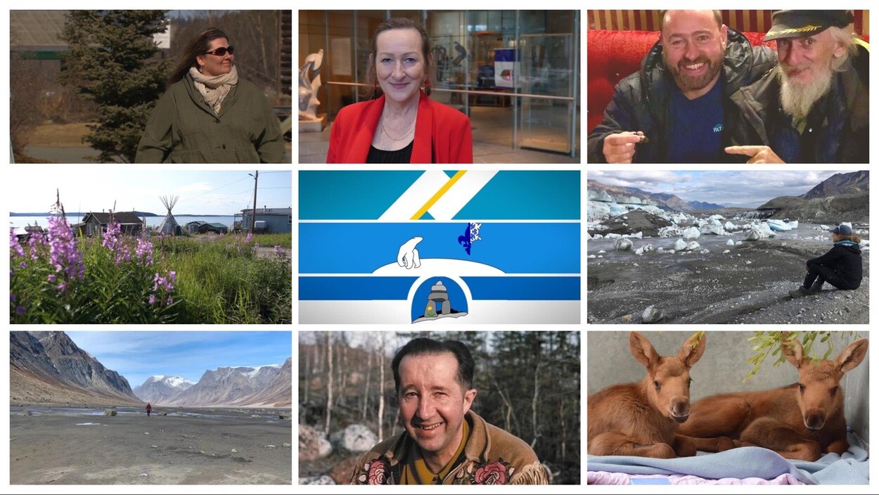 Montage photo de personnalités, de paysages et d'animaux.