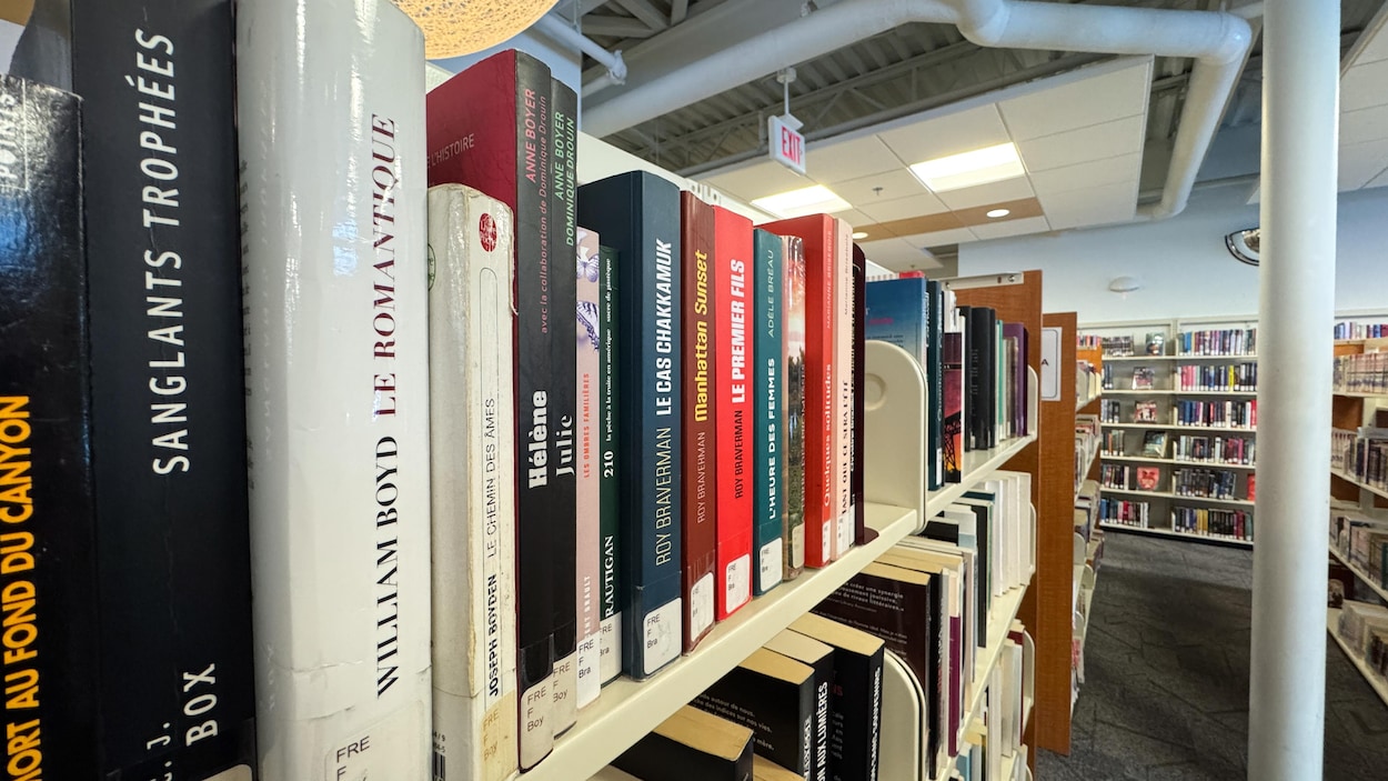 Les livres les plus empruntés au Yukon en 2025