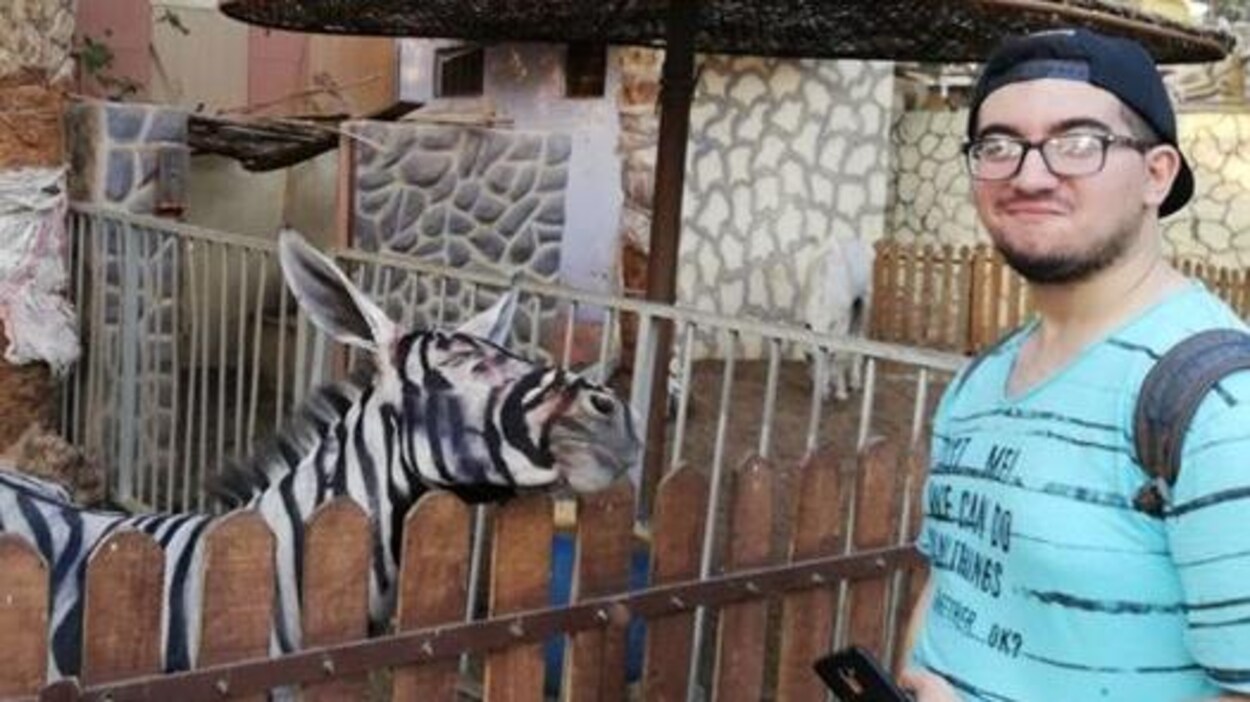 Vidéo. Insolite en Egypte: quand un zoo repeint les ânes en zèbres Vidéo. Insolite en Egypte: quand un zoo repeint les ânes en zèbres
