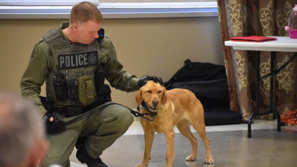 Un policier de la PPO avec une chienne.
