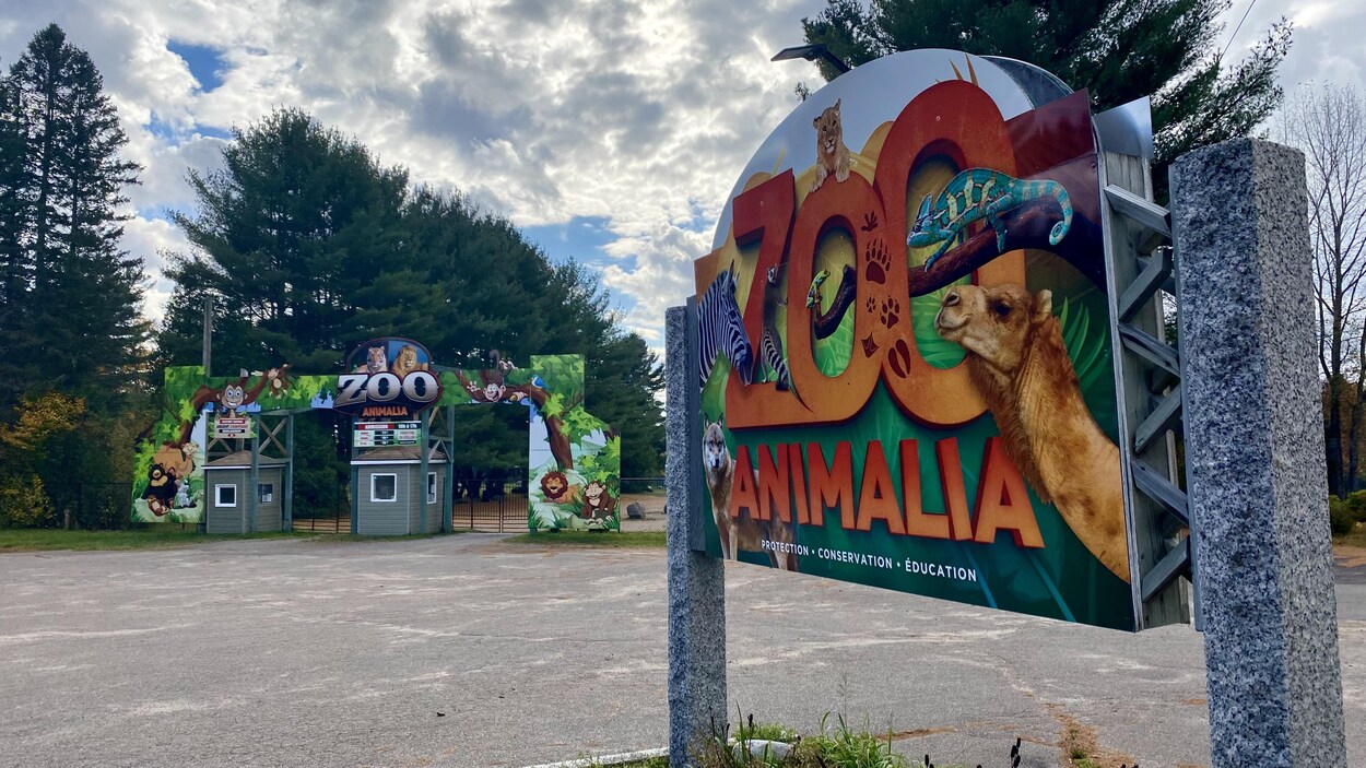 Problèmes au Zoo Animalia : les explications de la propriétaire |  Radio-Canada