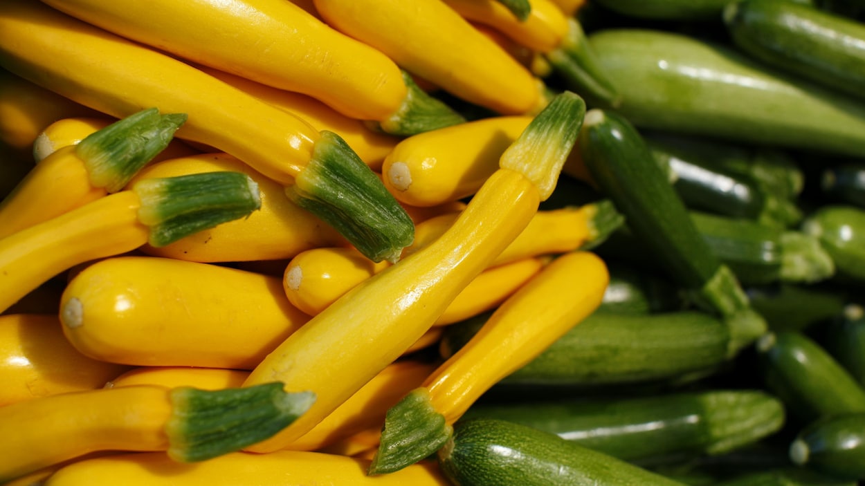Les Néo-Écossais pourront épargner 10 % sur les légumes cultivés localement