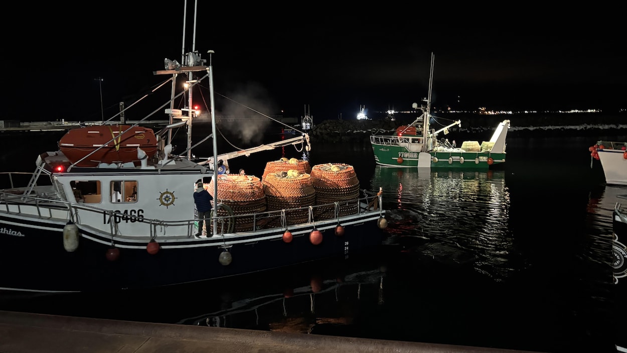 Le conflit au Moyen-Orient pourrait rendre la pêche coûteuse