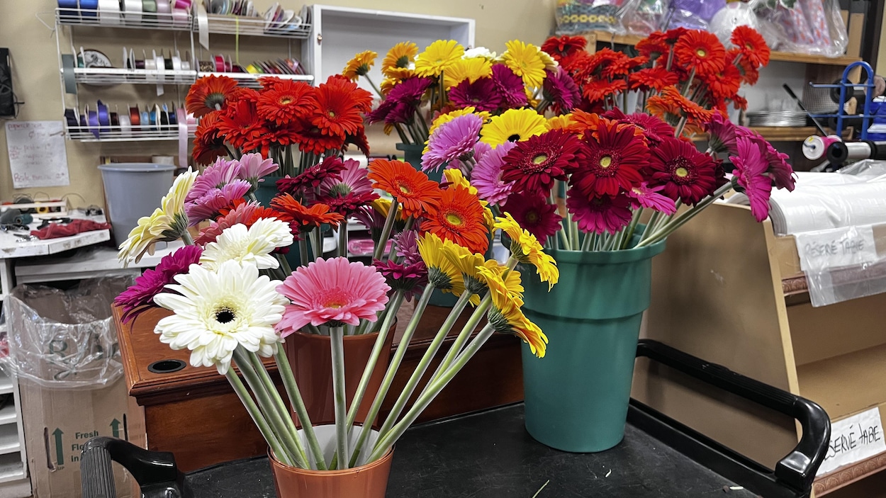 Des fleurs en bateau pour la fête des Mères