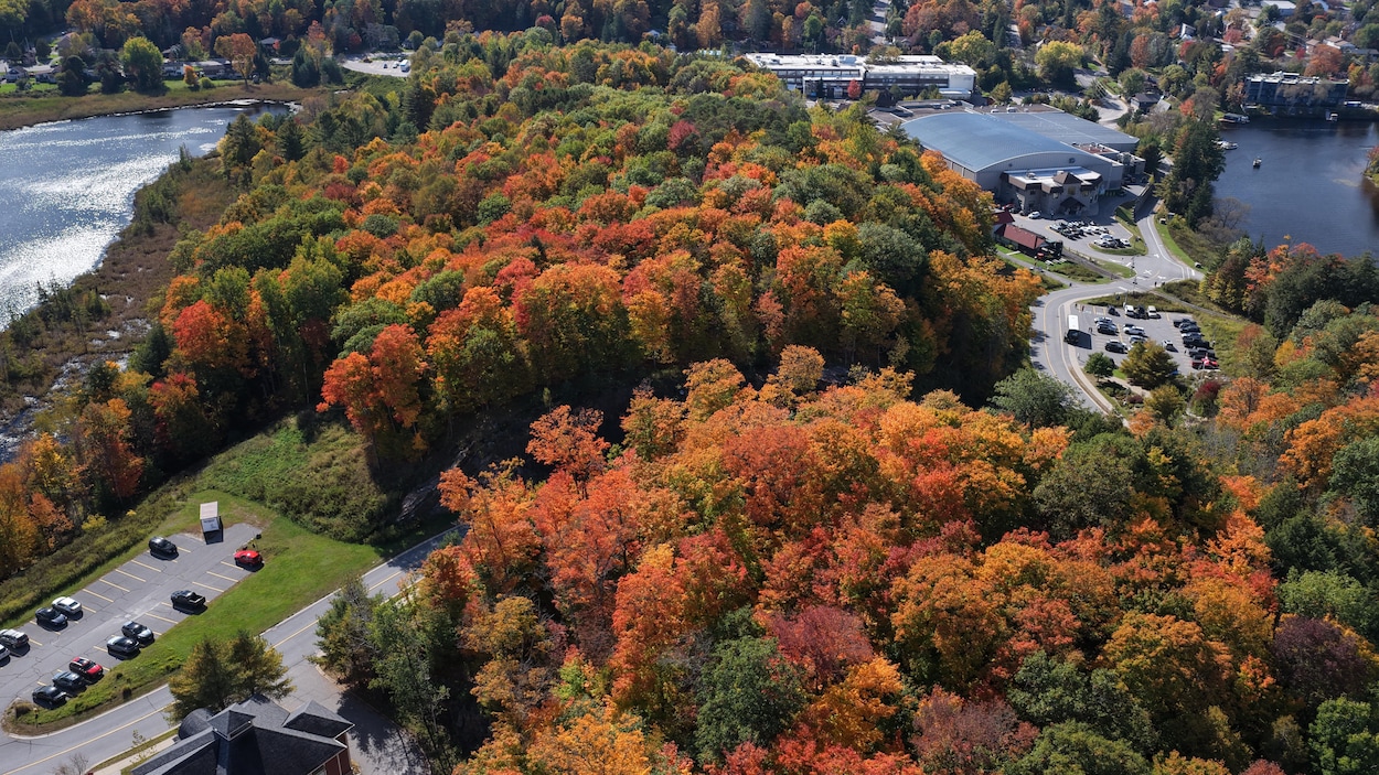 El Niño changera-t-il les couleurs d’automne?