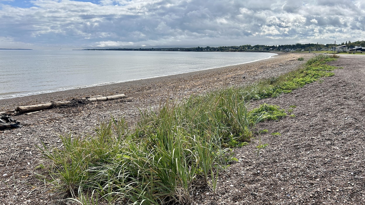 La baie des Chaleurs divisée devant un projet d’usine d’explosifs
