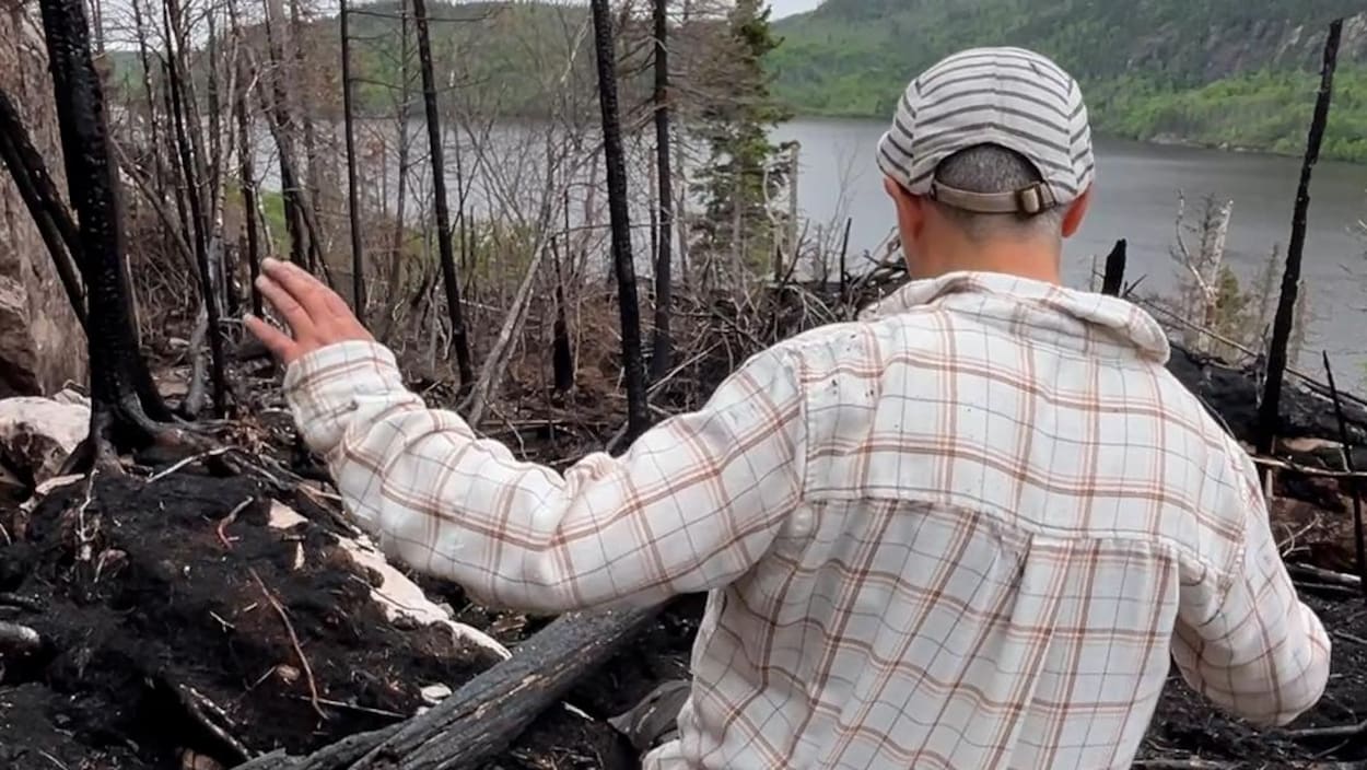Le trésor le mieux gardé de la forêt boréale