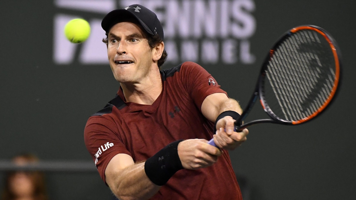 Andy Murray Andy Murray