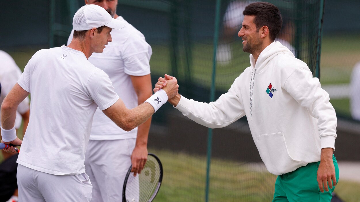 Andy Murray et Novak Djokovic, une alliance pas si étonnante