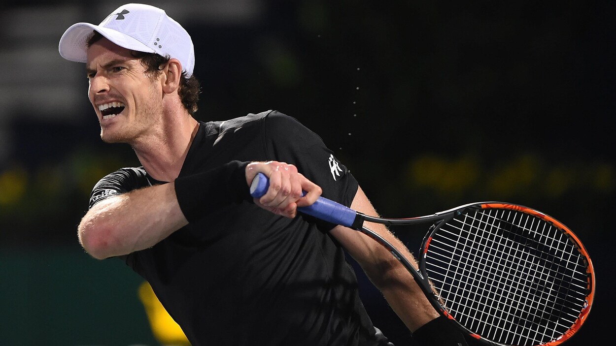 Andy Murray Andy Murray