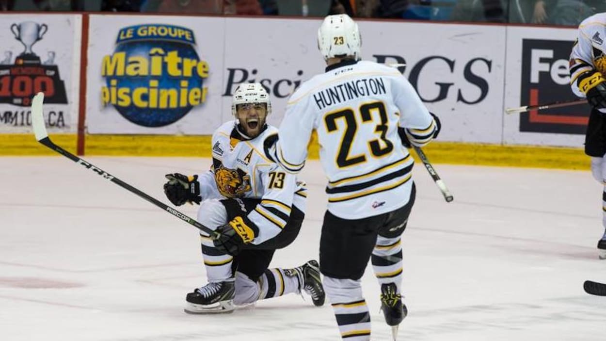 Deux joueurs des Tigres de Victoriaville célèbrent sur la patinoire après un but. Deux joueurs des Tigres de Victoriaville célèbrent sur la patinoire après un but.