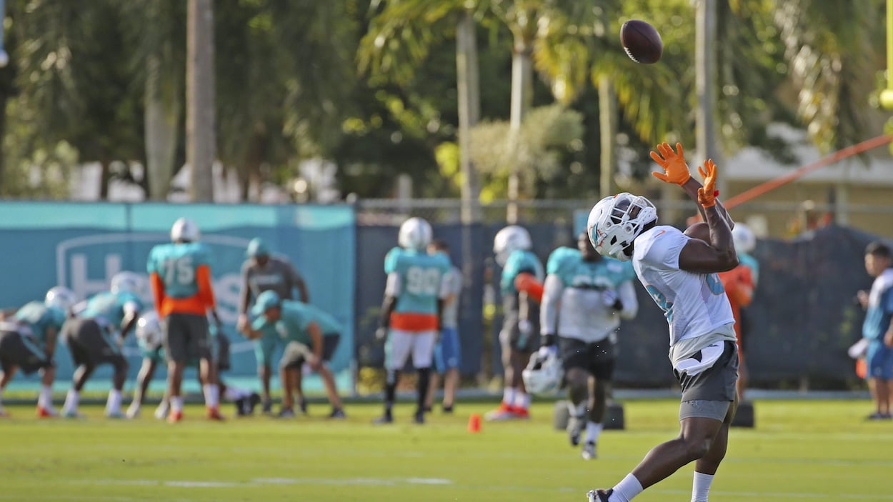 Des joueurs des Dolphins de Miami à l'entraînement, sous le soleil