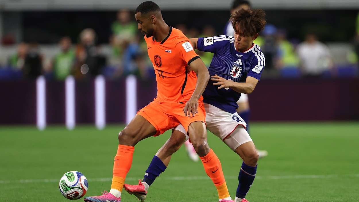 Mondial : accrochés par le Japon, les Pays-Bas ratent leur entrée