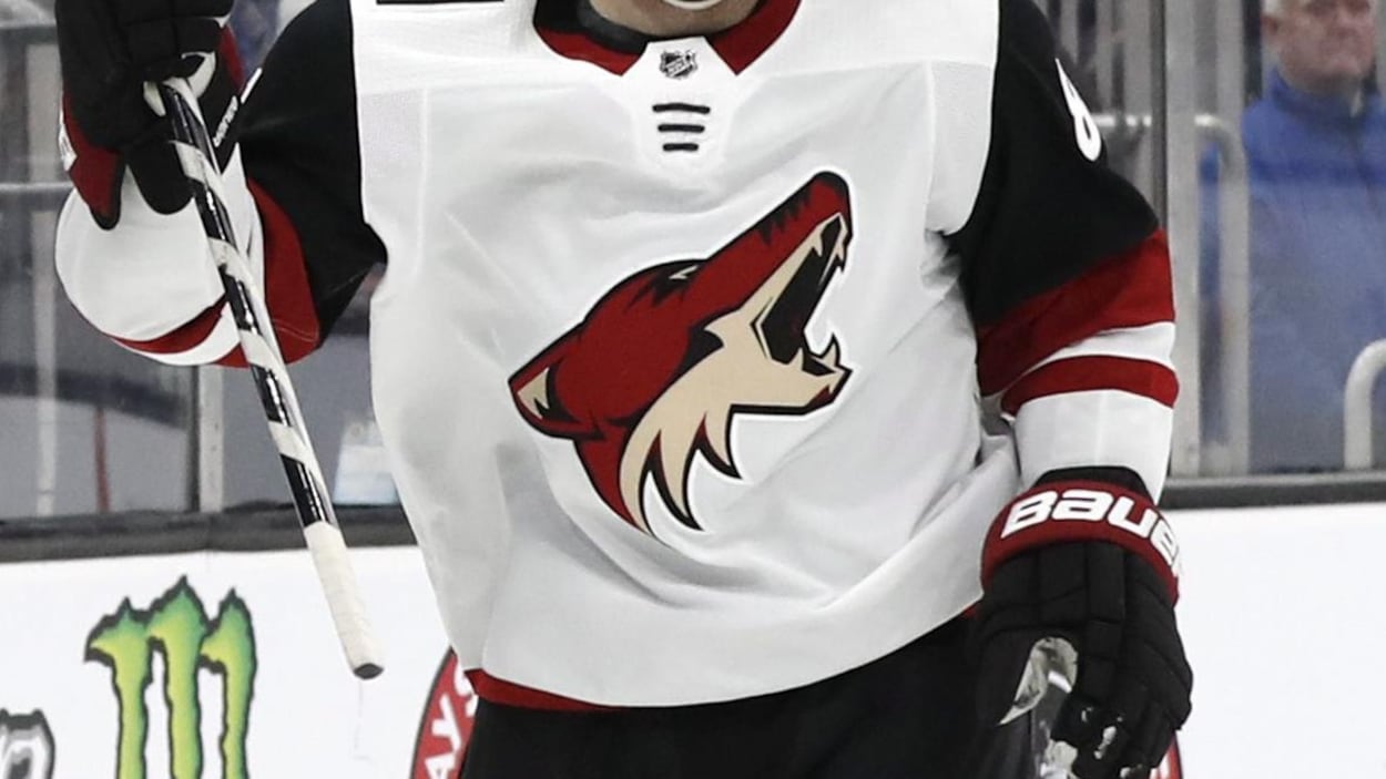 Un gros plan du logo des Coyotes de l'Arizona sur le chandail d'un joueur