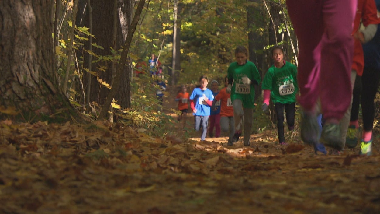 De jeunes coureurs s'élancent dans un sentier boisé lors d'une course.