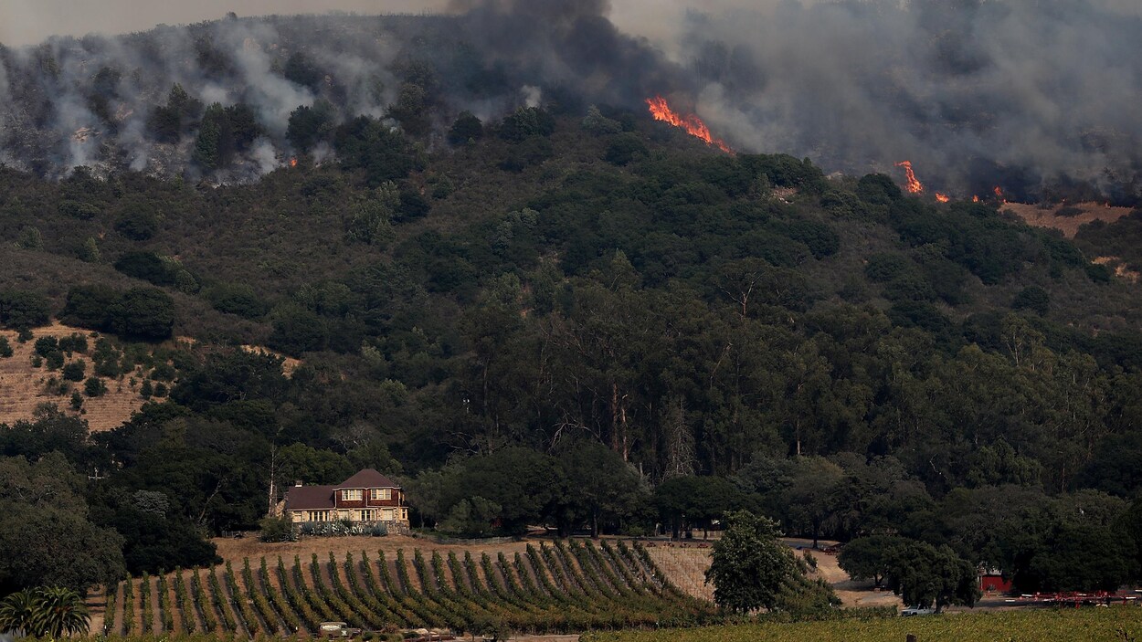 Les feux de forêt faisant rage dans la vallée de Sonoma.
