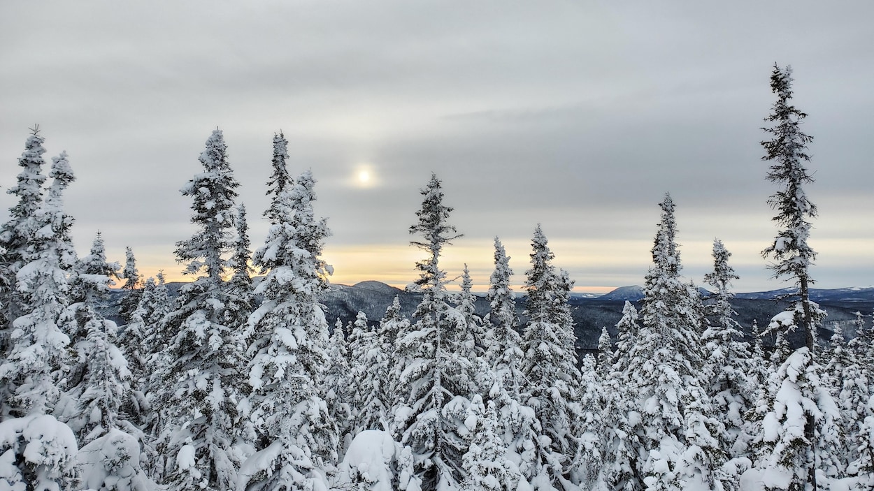 Un comité de pilotage réclamé pour les aires protégées