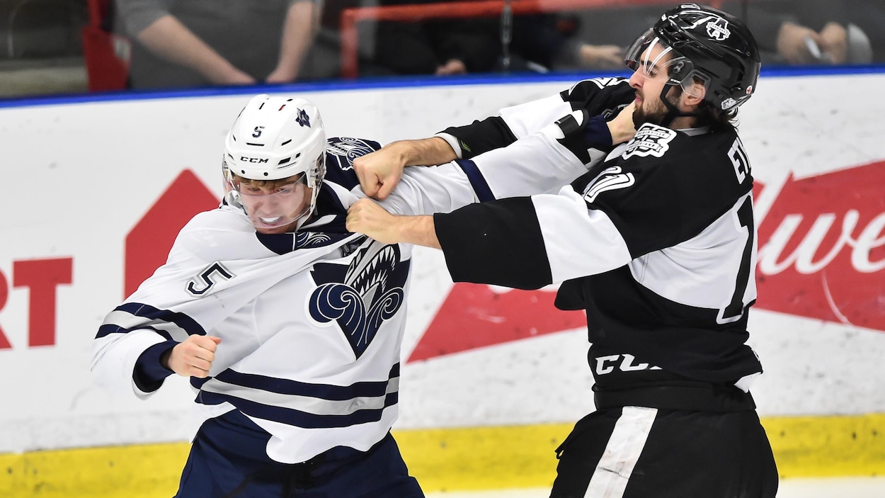 Ils se battent sur la glace.