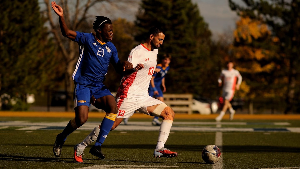 Une saison qui servira de tremplin pour les Aigles Bleus au soccer masculin