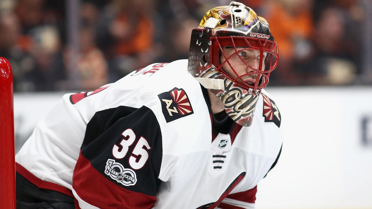 Louis Domingue Louis Domingue