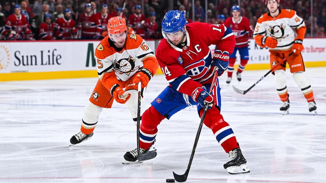 Le Canadien à la recherche d’experts en gestion du risque